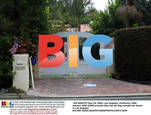 Teri Garr Proudly Flies US Flag Outside Home