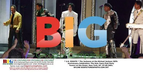 The Jacksons at Michael Jackson 30th Anniversary Party