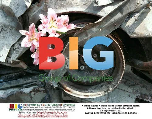 Crushed car with flower after 9/11 attack