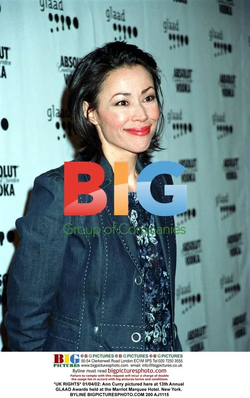 Ann Curry at 13th Annual GLAAD Awards