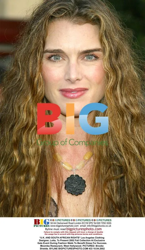 Brooke Shields at Fall 2002 Fashion Show Gala