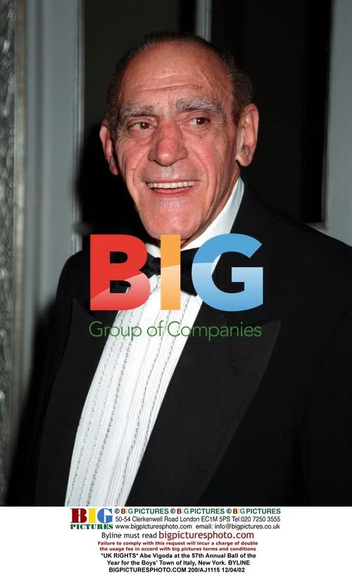 Abe Vigoda at Boys' Town of Italy Gala