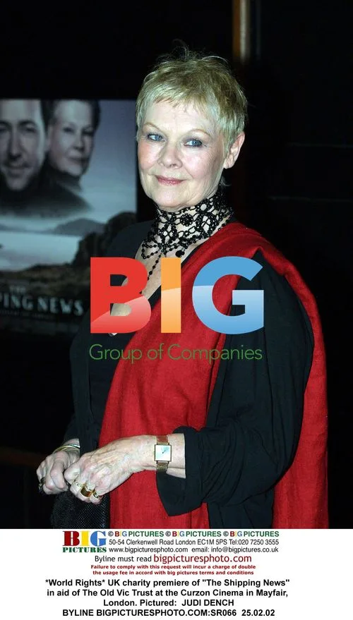 Judi Dench at UK premiere of The Shipping News