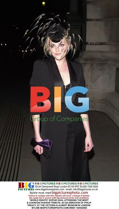 Sophie Dahl at Moet & Chandon Fashion Tribute