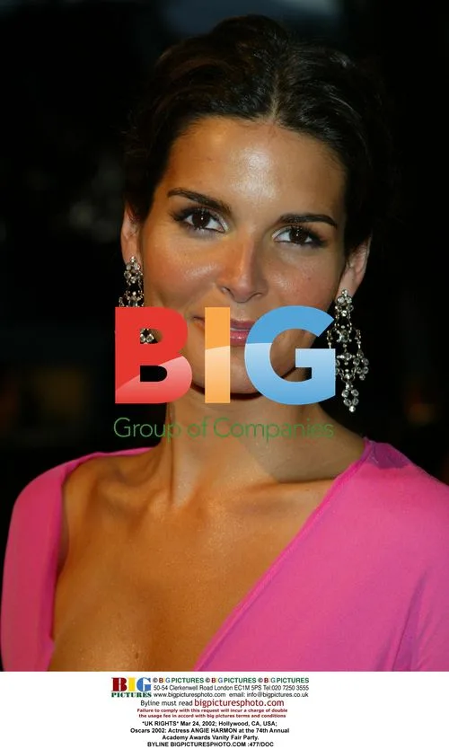 Angie Harmon at Oscars 2002 Vanity Fair Party
