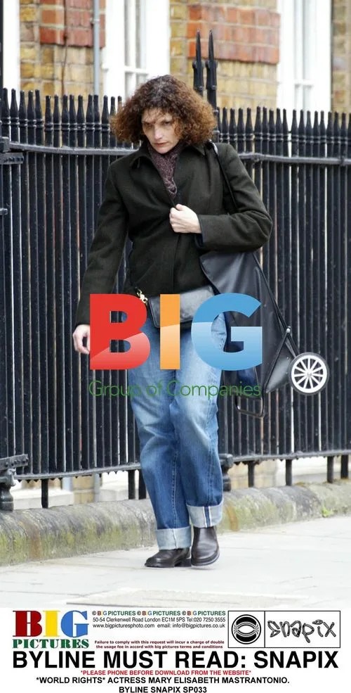 Mary Elisabeth Mastrantonio Shopping