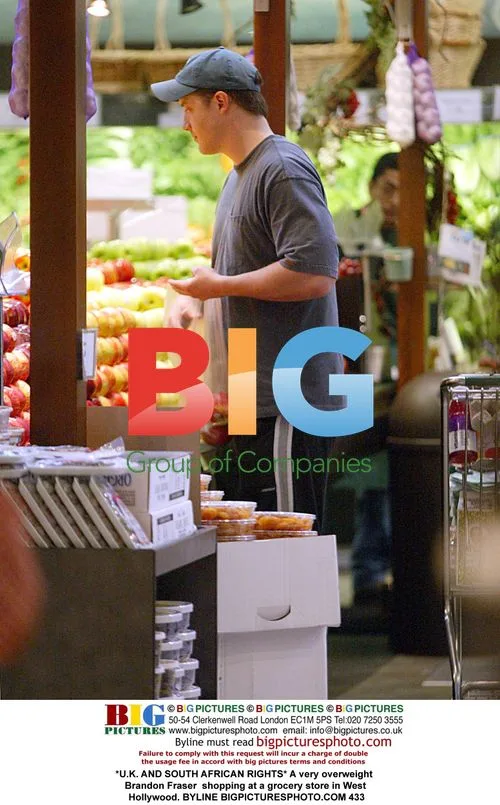 Brandon Fraser Grocery Shopping in West Hollywood