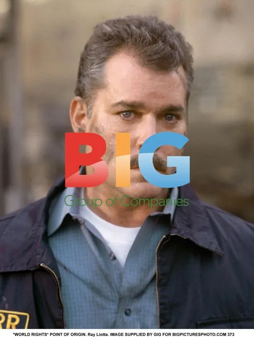 Ray Liotta in "Point of Origin"