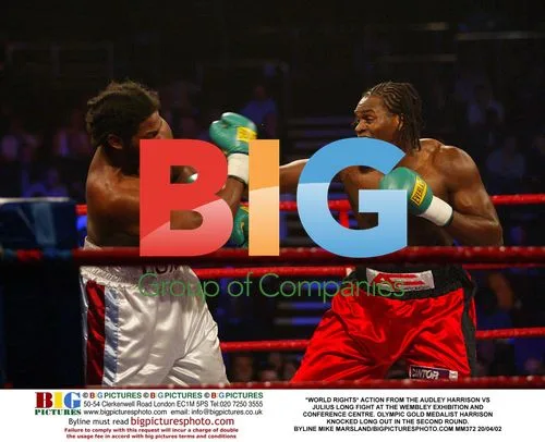 Audley Harrison vs. Julius Long Fight