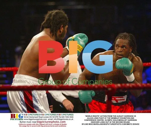 Audley Harrison vs Julius Long Fight