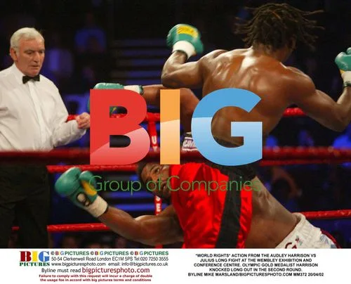 Audley Harrison vs. Julius Long Fight