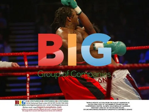 Audley Harrison vs Julius Long Fight