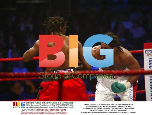 Audley Harrison vs. Julius Long Fight