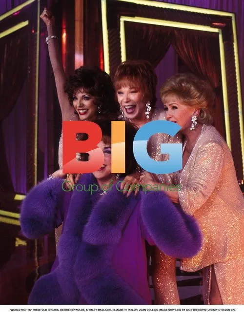 THESE OLD BROADS: Debbie, Shirley, Elizabeth, Joan