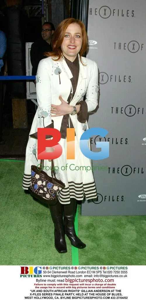 Gillian Anderson at X-Files Series Finale Party