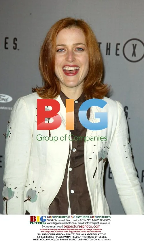Gillian Anderson at X-Files Finale Party