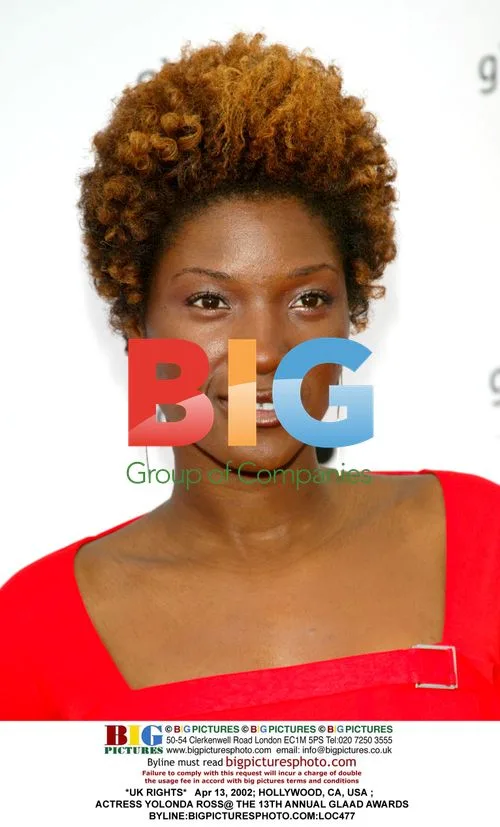 Yolonda Ross at 13th GLAAD Awards