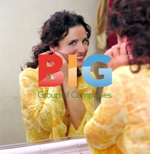 Julia Louis-Dreyfus as Ellie Riggs in "Watching Ellie"