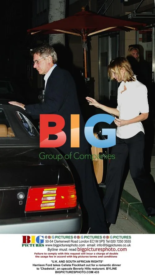 Harrison Ford and Calista Flockhart's Upscale Dinner
