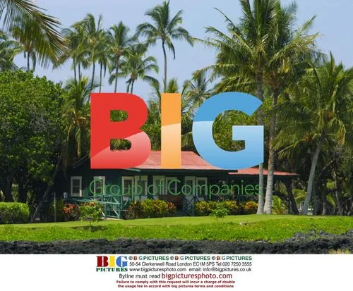 Nicolas Cage and Lisa Marie Presley's Wedding