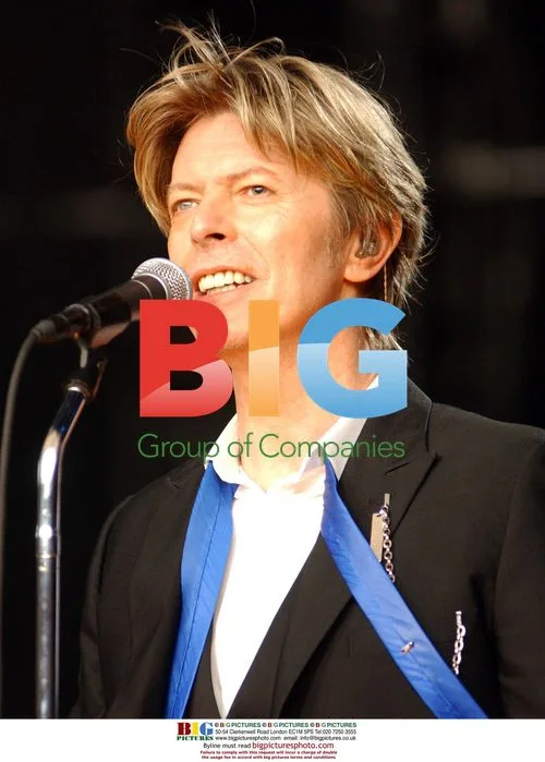 David Bowie at Area 2 Tour 2002