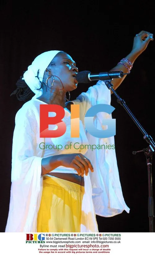 India.Arie performs at NYC jazz festival