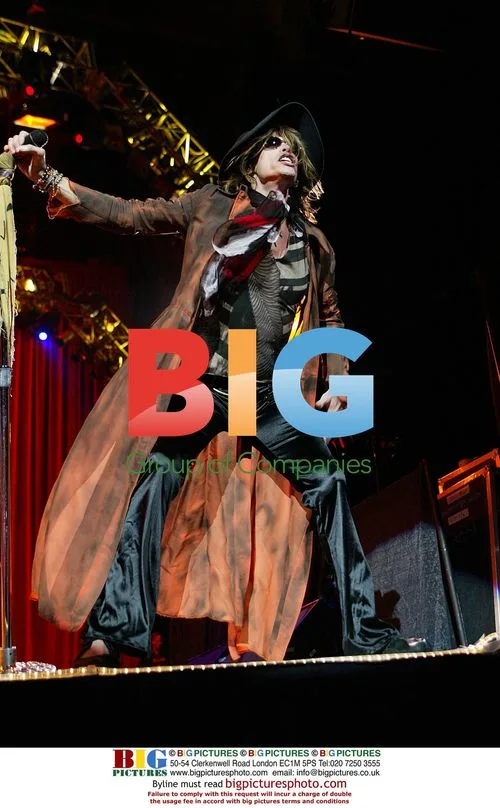 Steven Tyler of Aerosmith performs