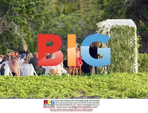Lisa Marie Presley and Nicolas Cage's Hawaii Wedding