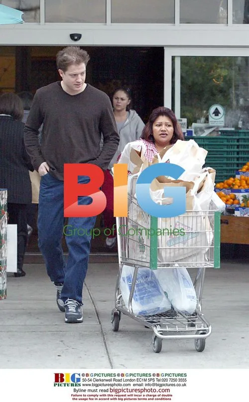Brendan Fraser grocery shopping in West Hollywood
