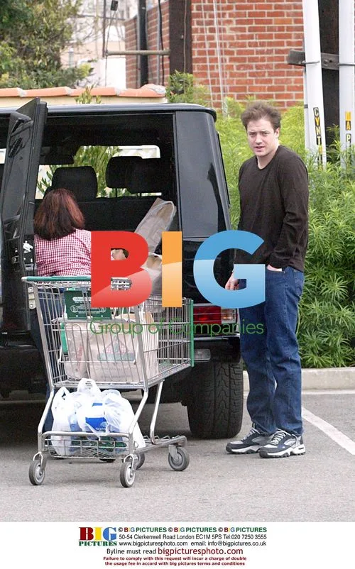 Brendan Fraser Grocery Shopping in West Hollywood