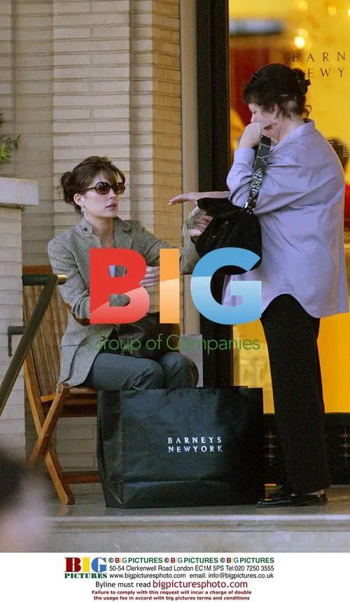 Lara Flynn Boyle Christmas Shopping