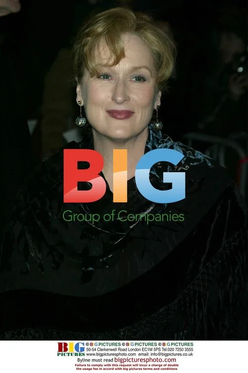 Meryl Streep at 'The Hours' Premiere