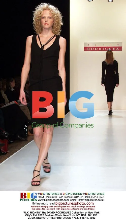 DAVID RODRIGUEZ Collection at NY Fashion Week
