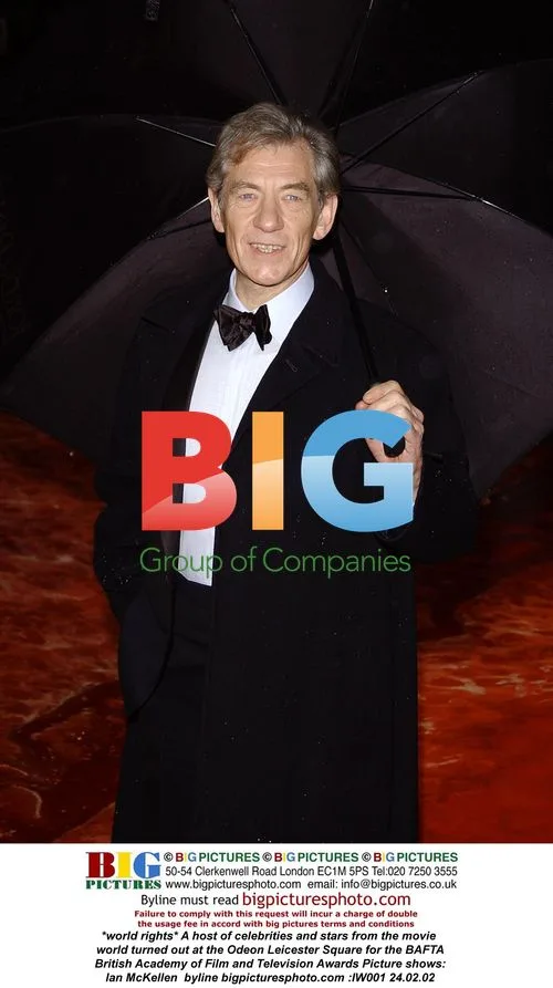 Celebrities Attend BAFTA Awards