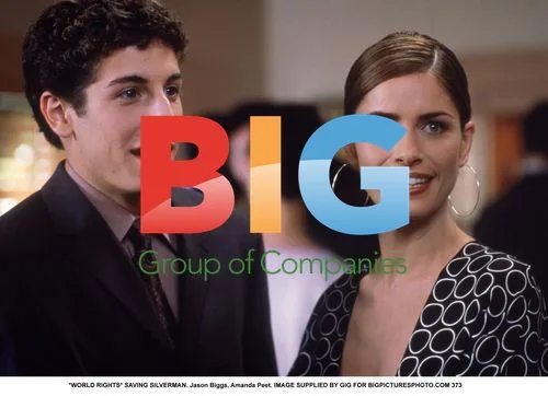 Saving Silverman - Jason Biggs and Amanda Peet