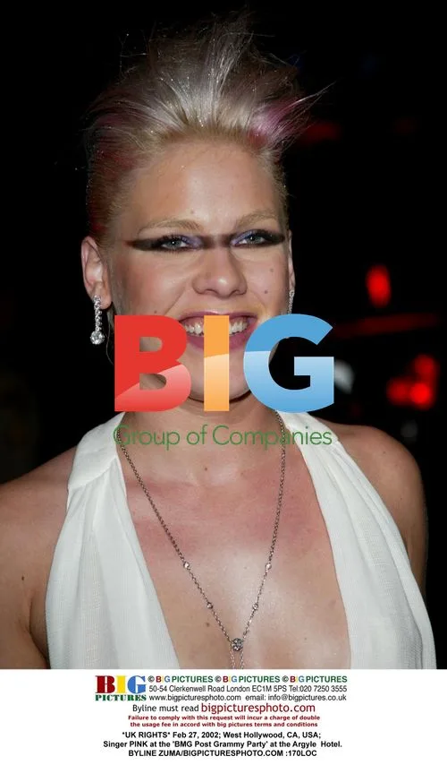 PINK at BMG Post Grammy Party