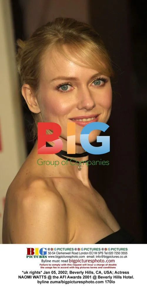Naomi Watts at the AFI Awards 2001