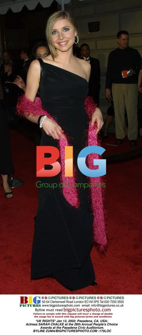 Sarah Chalke at 2002 People's Choice Awards