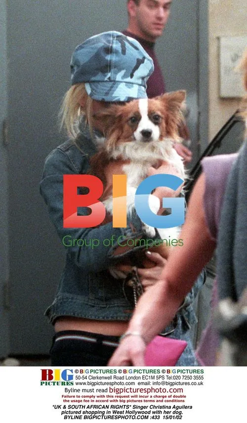 Christina Aguilera shopping in West Hollywood