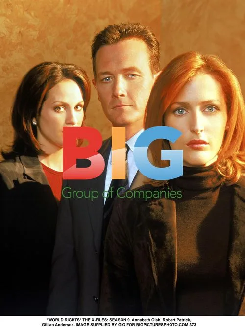 The X-Files: Season 9 with Annabeth Gish, Robert Patrick, Gillian Anderson