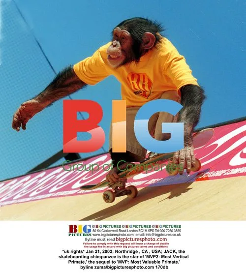 Skateboarding Chimpanzee JACK in MVP2