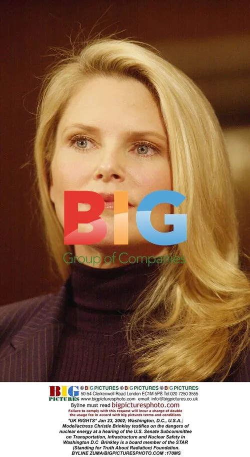 Christie Brinkley Testifies on Nuclear Energy