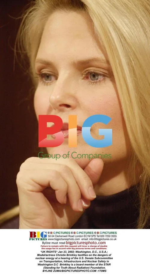 Christie Brinkley Testifies on Nuclear Energy