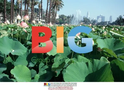 Lotus Festival at Echo Park Lake, Los Angeles