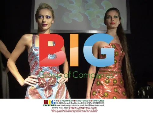 Designer's Linen & Cellophane Dresses with Food