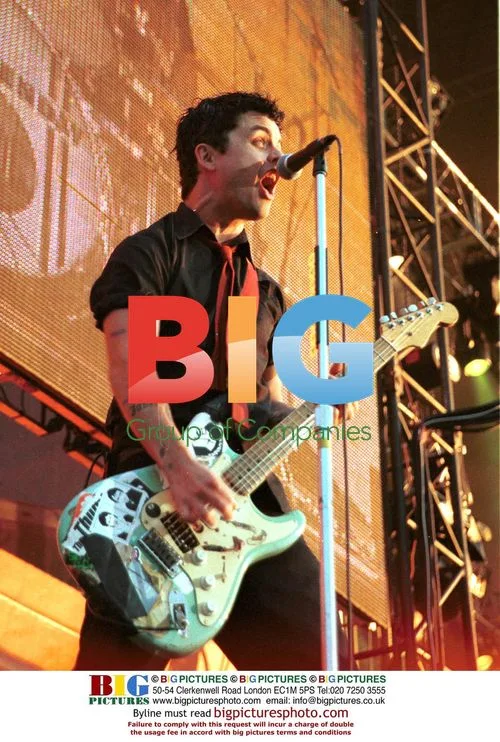 Green Day at the Move Festival