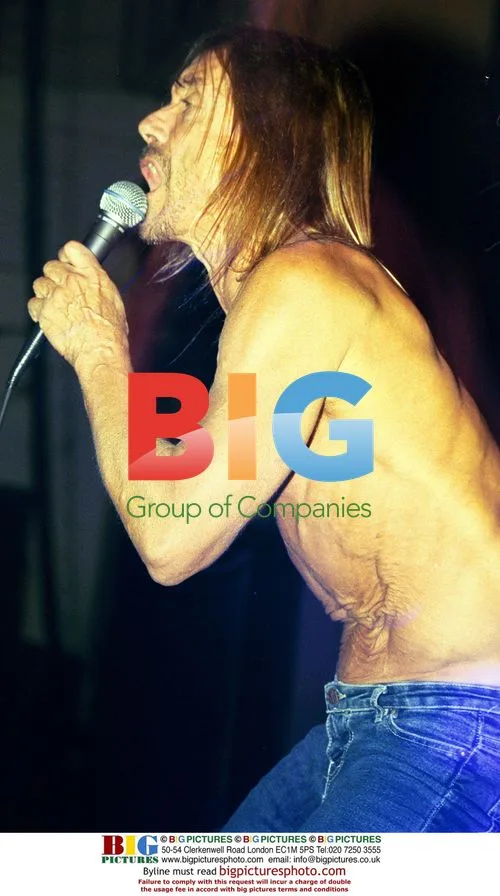 Iggy Pop in Concert at Brixton Academy
