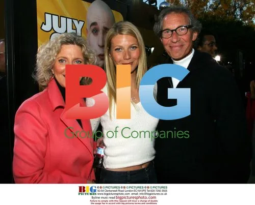 Gwyneth Paltrow at 'Austin Powers' premiere