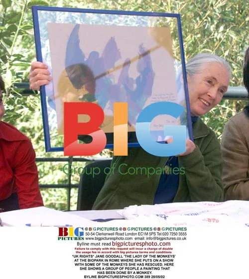 Jane Goodall Presents Monkey Art