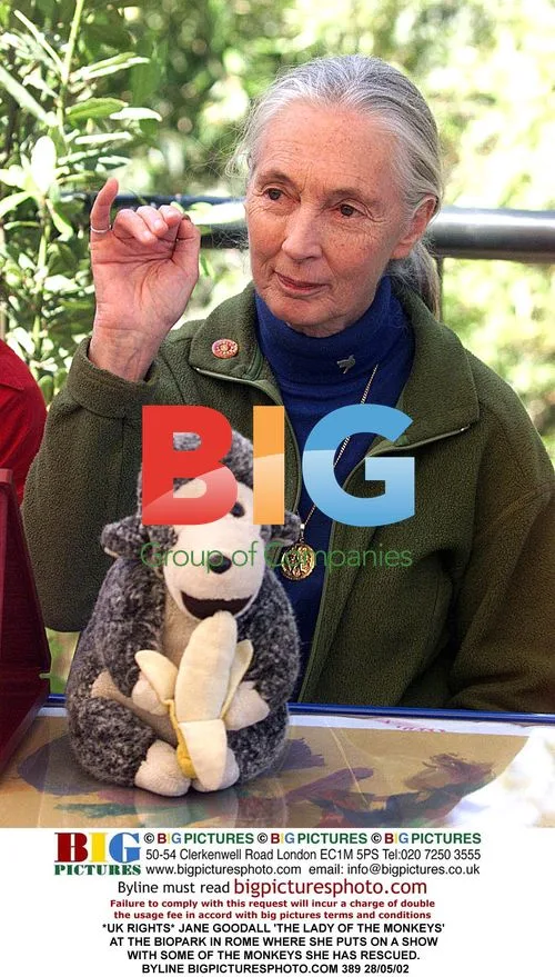 Jane Goodall with Rescued Monkeys at the BioParc in Rome